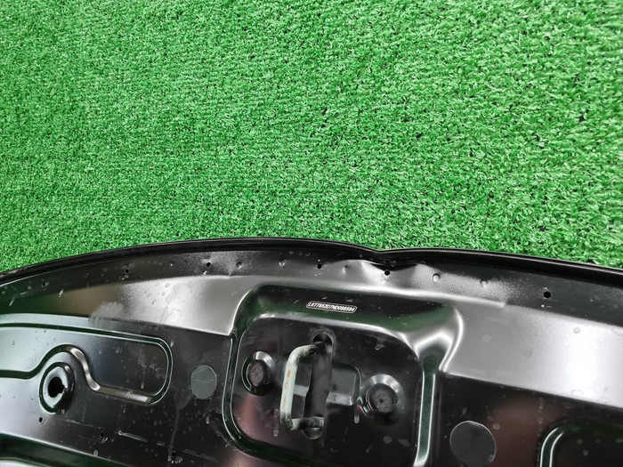 Капот Geely Tugella (2019-2024)