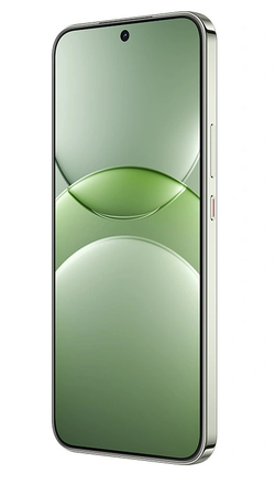 Смартфон Huawei Nova 13 12/512Gb Дымчатый Зелёный (BLK-LX9)