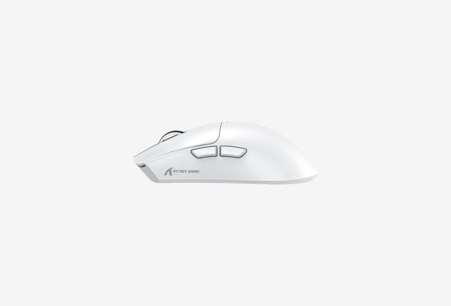 Shark X11 White_0226709105742