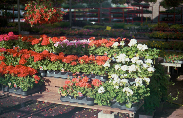 Флористика для вашего настроения!