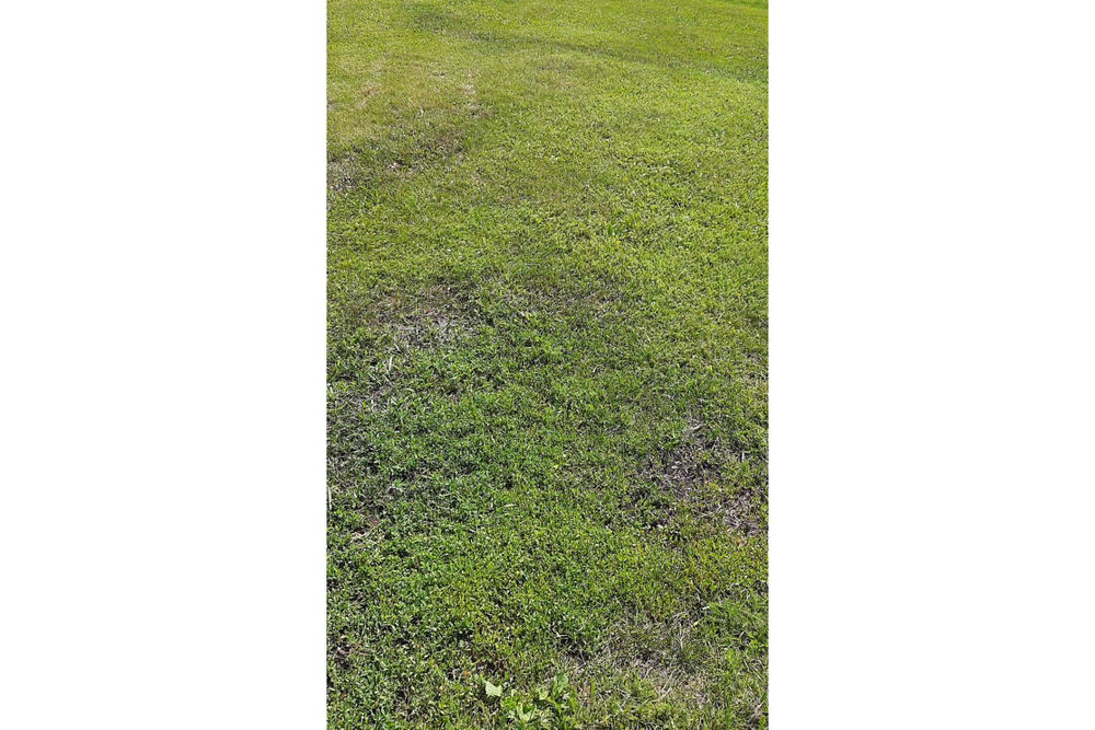 Газонокосилка Ресанта КР-6.0 БТ 70/3/13