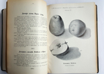 "Крымское промышленное плодоводство". Л.П. Симиренко. 0г. - редкая книга