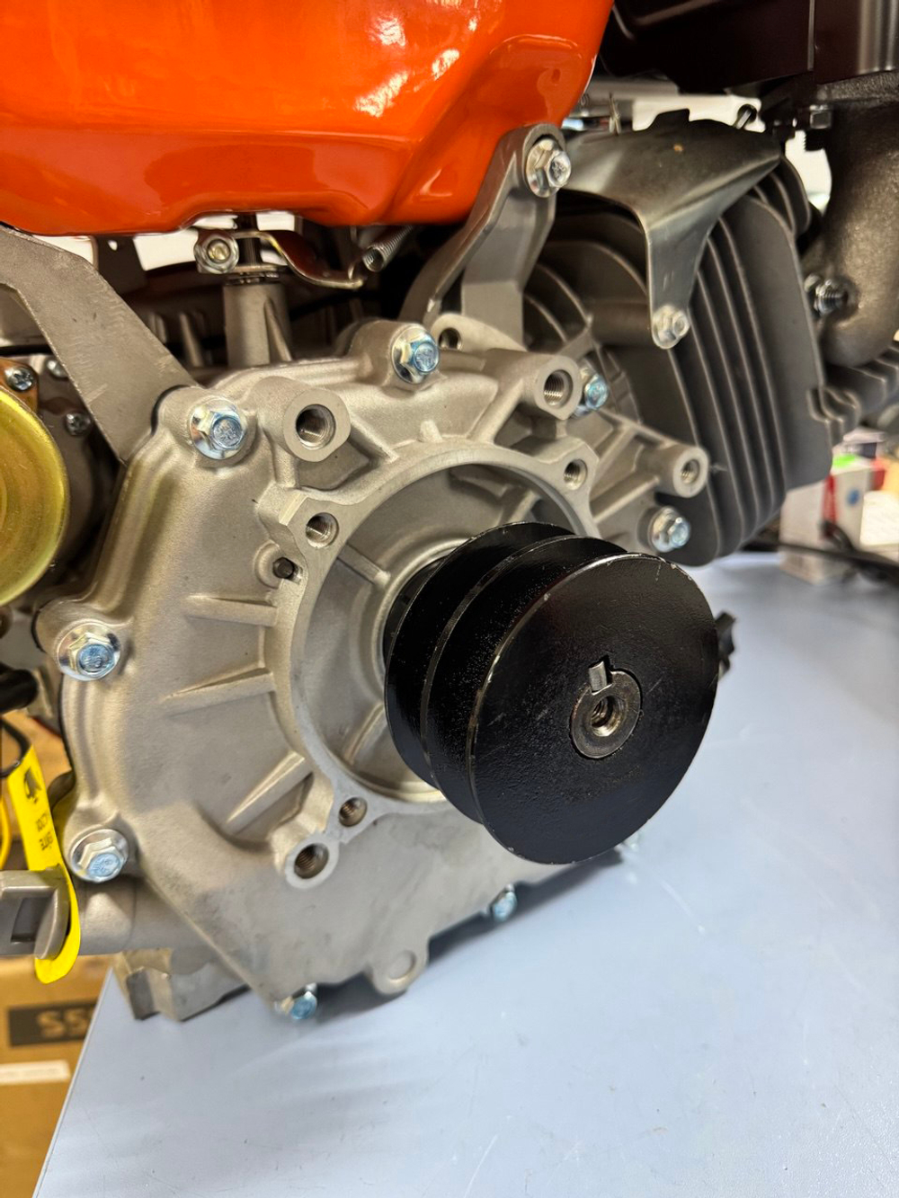 photo_2025-01-31_10-58-54 (4)