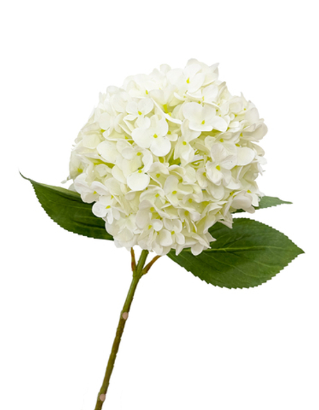 Гортензия крупнолистная на стебле  (белая) 65 см