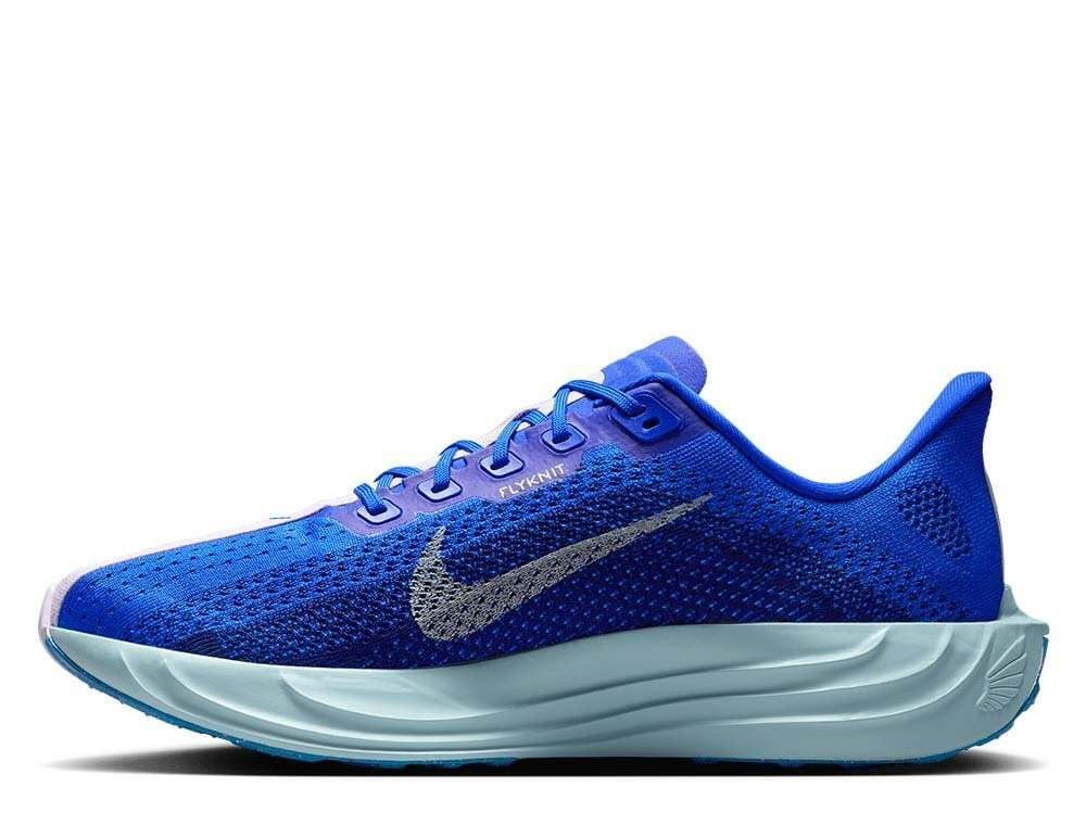 Кроссовки для бега мужские Nike Pegasus Plus M Сине-Пудровые