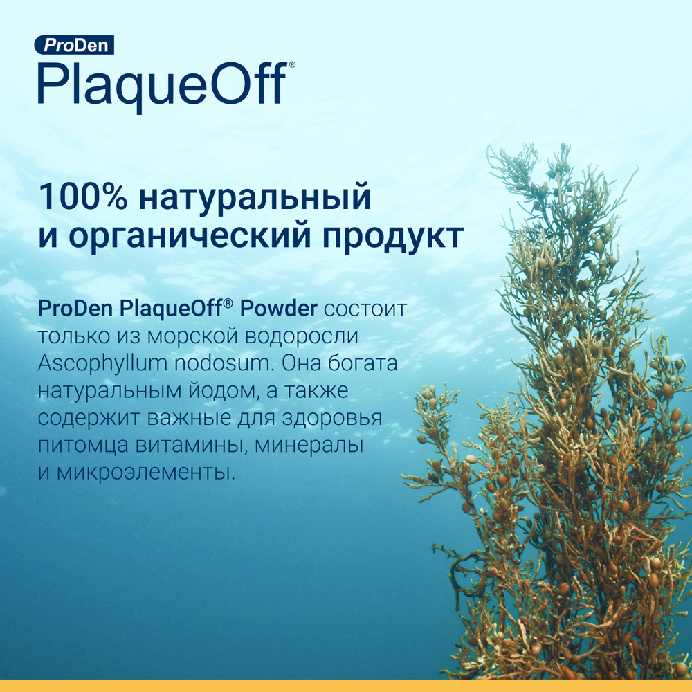 PRODEN PLAQUEOFF Средство для профилактики зубного камня у собак и кошек, 40 г