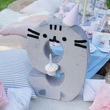 Cat Pusheen Party