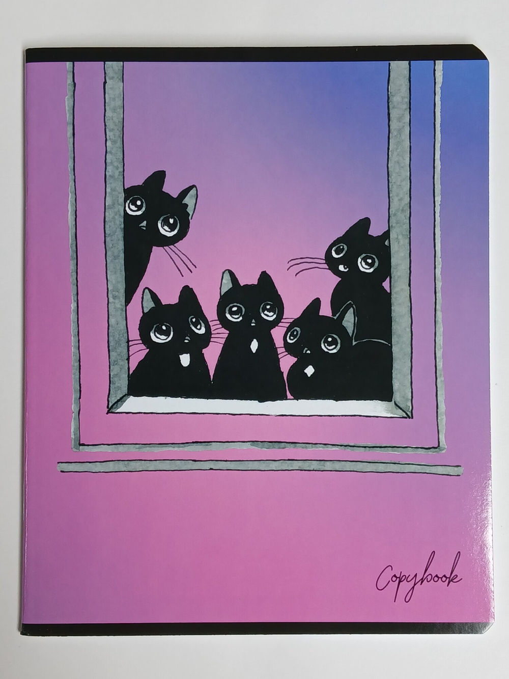 Тетради 48 листа А5+.  "Уголек", общая, клетка. Формат А5+ (163*203 мм). Арт.120004. С полями. Комплект 5 шт.