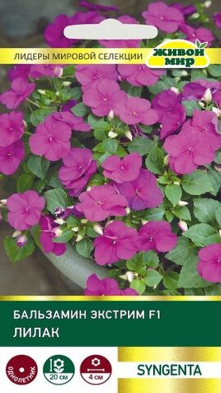 Бaльзaмин "ЖМ. Экcтpим F1 Лилaк" 10шт, Нидерланды.