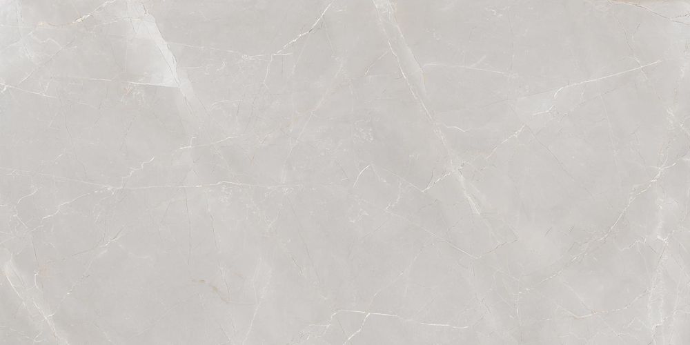 Creatile Marbles Armani Natural Light Grey Matt 60x120