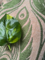 Mokosh wrap Аллуа Олива