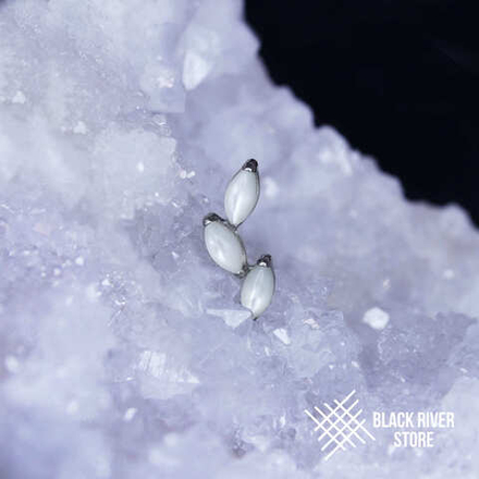 Leaflet v.2 White Shell