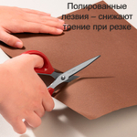 Ножницы DELI 160 мм,  пластиковые ручки, цвет ассорти