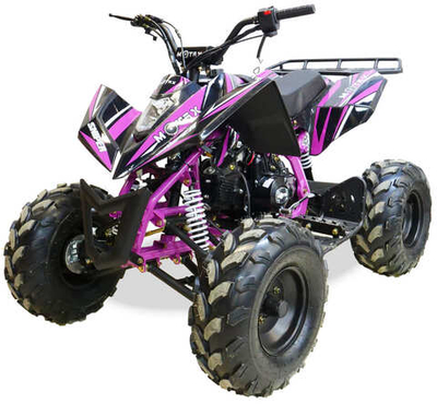 Квадроцикл MOTAX ATV T-Rex Super LUX 50 cc