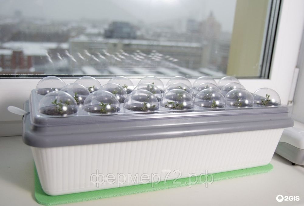 Расширенный комплект для гидропонной установки "Луковое счастье"