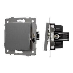 Механизм выключателя одноклавишный непроходной SWT-MK01-PL-GR-V (250V, 10A) (Arlight, -) 049869