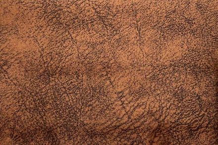 Коллекция Нова