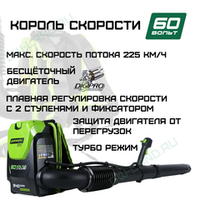 Ранцевый Воздуходув, аккумуляторный Greenworks Арт. 2402307, 60V, бесщеточный