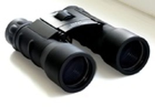 Бинокль BUSHNELL 30Х