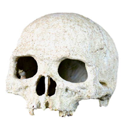 NOMOY PET Декорация "Череп белый", 14*12 см