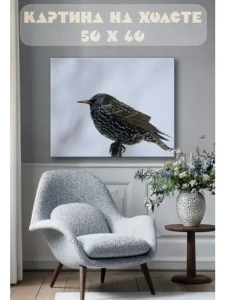 Картина на стену 40 X 50 Птичка