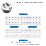 Детские коронки 10 шт металлические жевательные SHINHUNG Корея