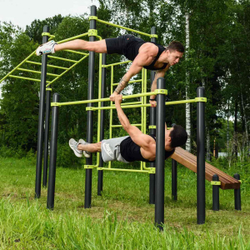 W237 Воркаут (рукоход, швед. стенка, 2 переклад., переклад. верт., накл. скамья, брусья) ZAVODSPORTA