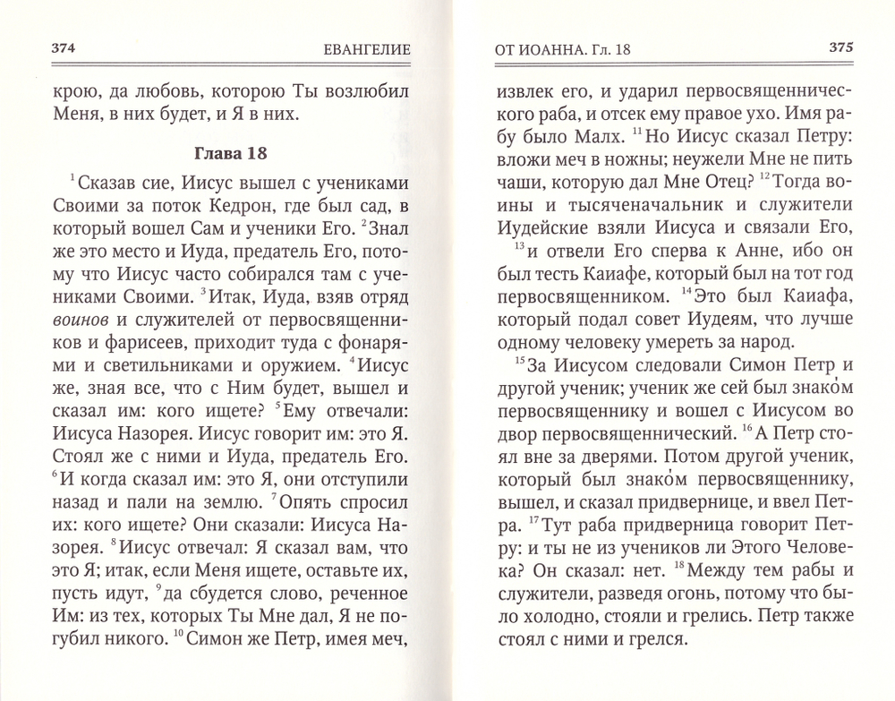 Святое Евангелие. Подарочное издание в переплете из флока.