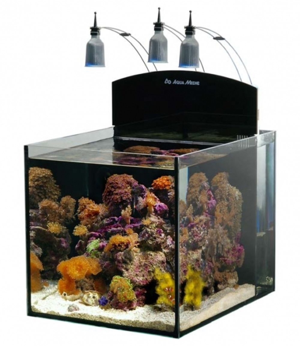 Морской аквариум Aqua Medic Blenny 80л
