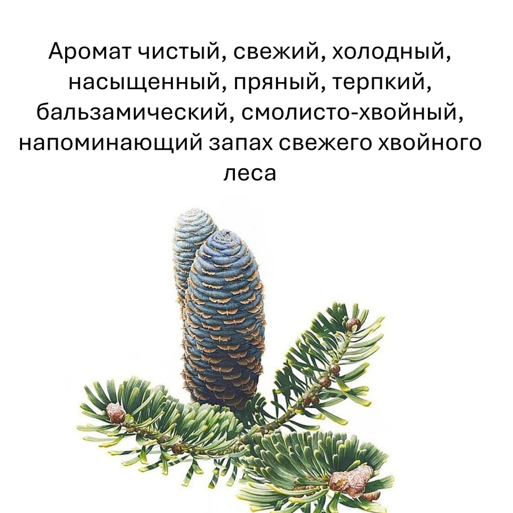 Пихта, кубики восковые для ароматизации, 10 штук