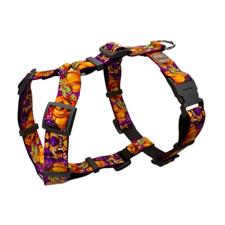 Шлейка Pawmpkin