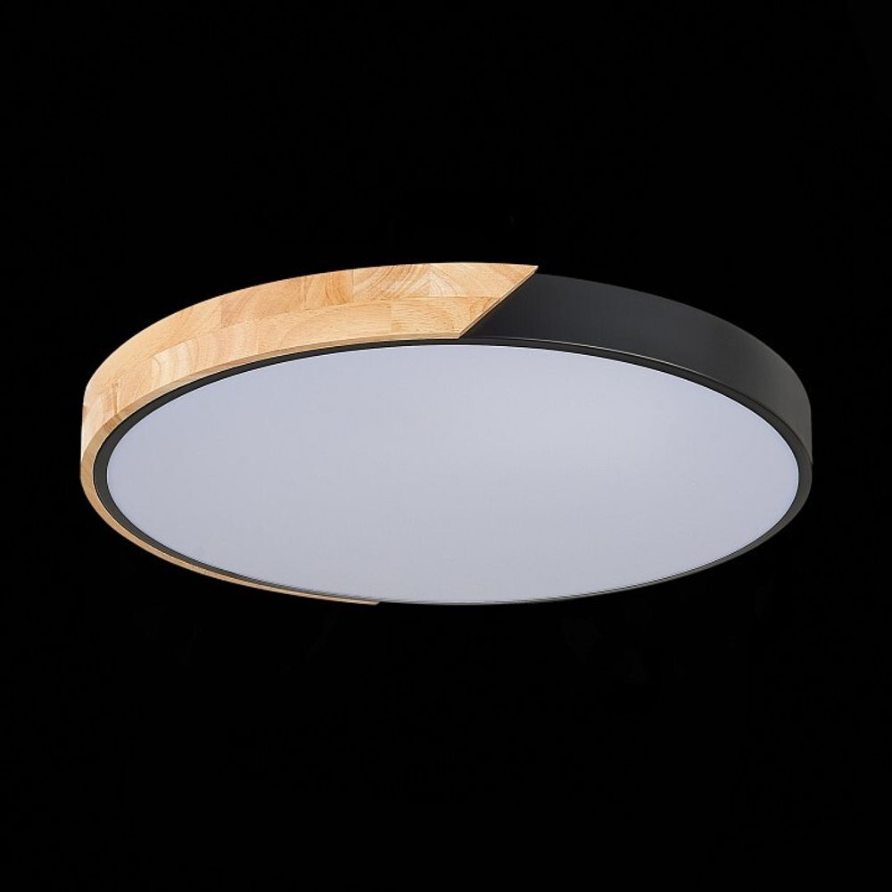 Накладной светильник EVOLUCE Festa SLE200942-01