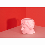 Чашка aphrodite, розовая