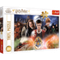 Puzzle &quot;300&quot; - The Secret Harry Potter / Warner