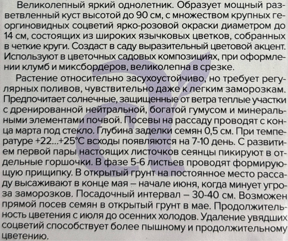 Цинния Волшебная роза 0,3 г СМЦ-313