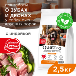 Корм сухой для взрослых собак очень крупных пород, премиум полнорационный комплекс, для заботы зубов и десен, с индейкой, 2,5 кг, QUATTRO