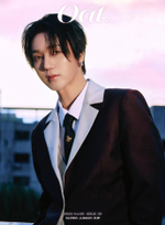 публикация OAT (CHINA) - 2025.12 YESUNG A Type
