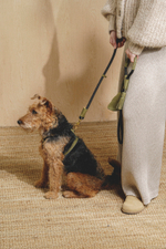 Шлейка "Пони-Макарони" Зеленая