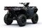 Квадроцикл KAWASAKI Brute Force 750 EPS (2024) (ПСМ)