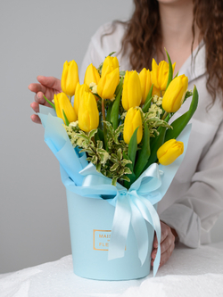 Немного солнца в холодной воде