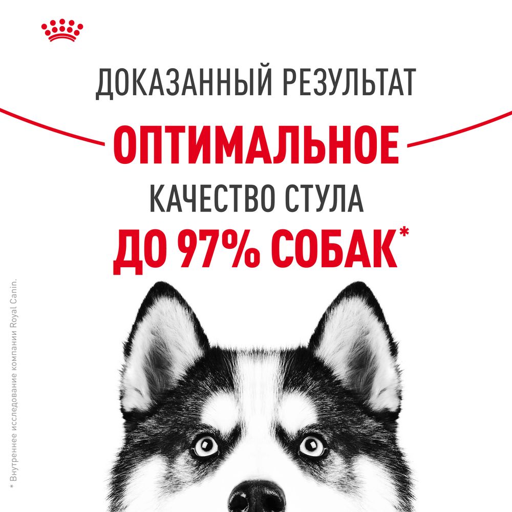 Сухой корм Royal Canin Maxi Digestive Care для взрослых собак больших размеров с чувствительным пищеварением Сухой корм Royal Canin Maxi Digestive Care для взрослых собак больших размеров с чувствительным пищеварением
