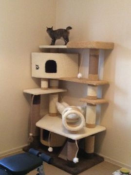 Комплекс для кошки К-329