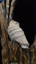 "Сова", миниатюра