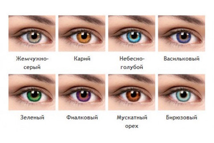 Трехмесячные цветные контактные линзы Офтальмикс Butterfly 3 Tone (уп. 2 линзы)