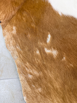 Коровья шкура на пол натуральная. 200 х 190 см