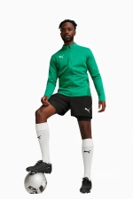 Кофта teamGOAL Training Jacket - зеленый