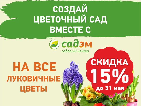 Скидка 15% на все ЛУКОВИЧНЫЕ растения!