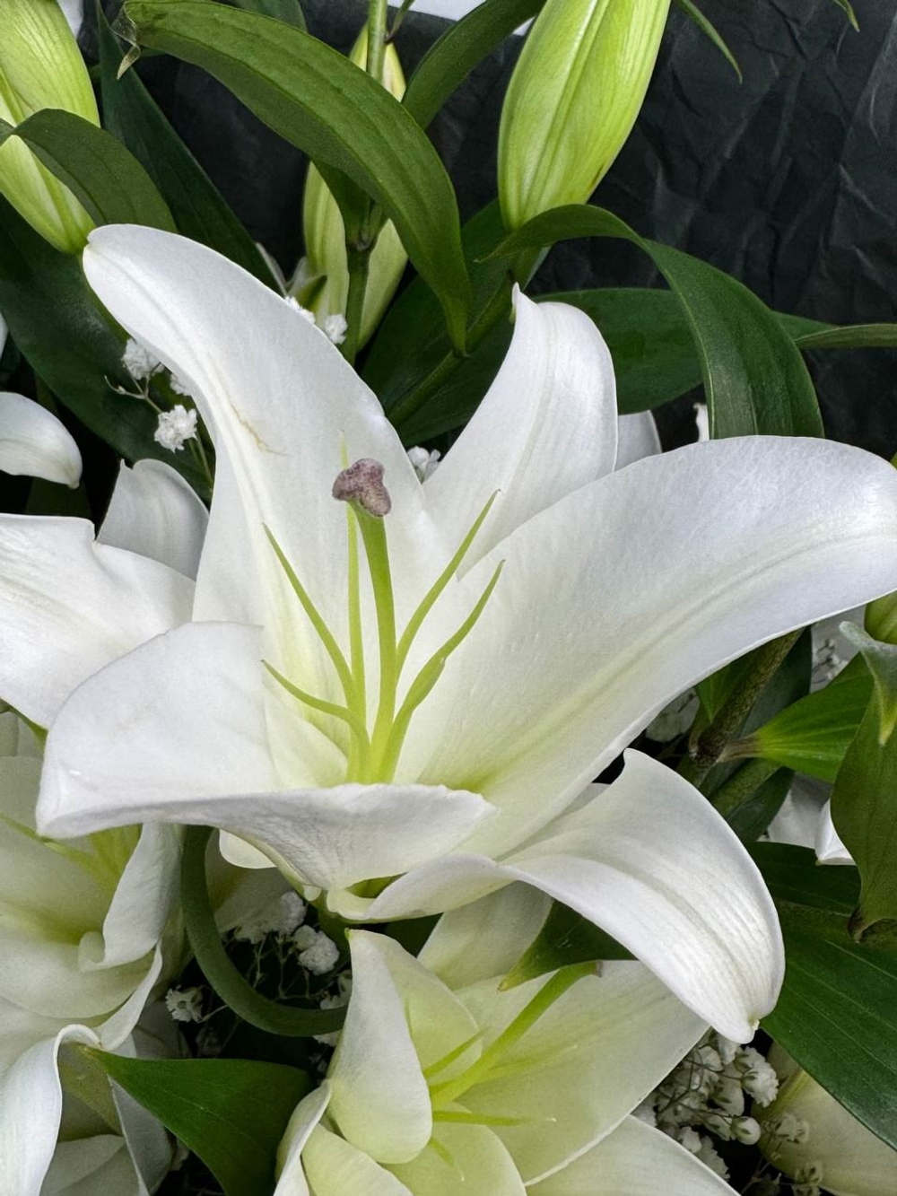 Букет из 7 белых лилий