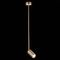 Подвесной светильник ST Luce Sormano SL1206.303.01