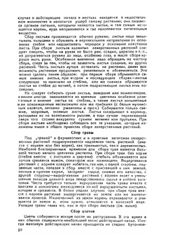 Лекарственные растения Азербайджана | А. А. Гроссгейм